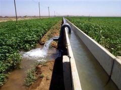 GAP Şanlıurfa – Harran Ovaları Tarla-İçi ve Köy Geliştirme Projesi