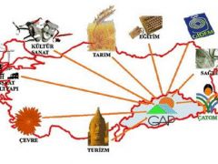 GAP Regional Transportation and  Infrastructural Development Study (ru)