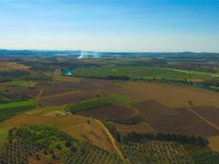 Lower Seyhan Plain Irrigation Renewal Planning Reports Engineering Services